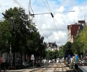 48 bomen met kap bedreigd | NZ Voorburgwal
