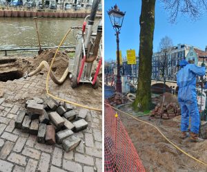 Bomen Effect Analyse | BEA-paspoort voor bomen