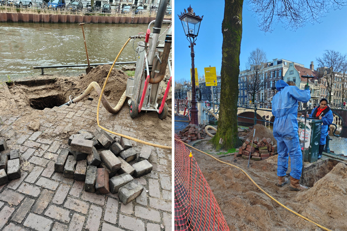 Bomen Effect Analyse | BEA-paspoort voor bomen